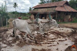 Thannal_natural_building_grove_farming