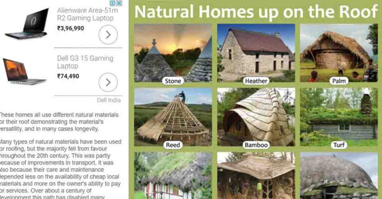 Natural roofs compared - stone, heather, palm, reed, bamboo and turf